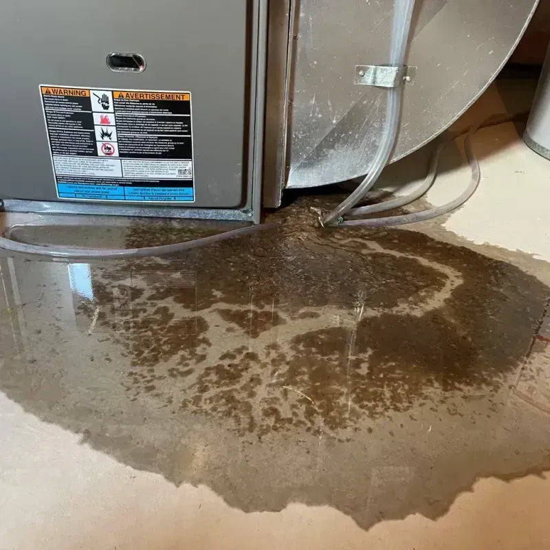 Appliance Leak Cleanup in Livonia, LA